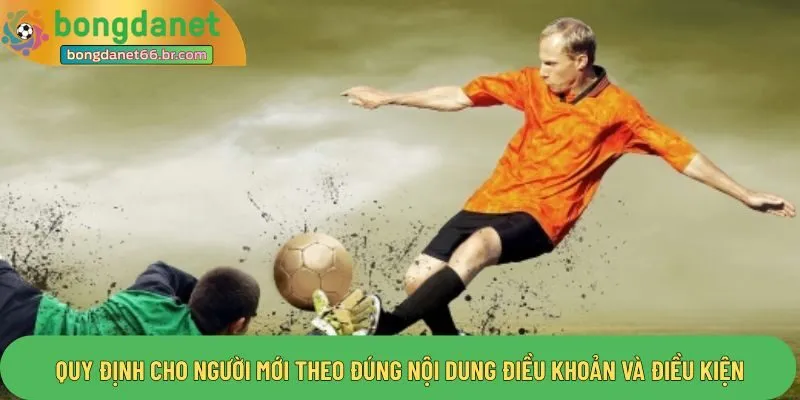 Quy định cho người mới theo đúng nội dung điều khoản và điều kiện
