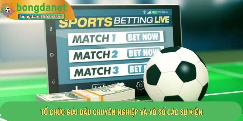 Tổ chức giải đấu chuyên nghiệp và vô số các sự kiện